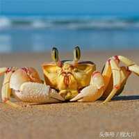 https://images.plurk.com/AeMvTgC1C27e8d7XDWdas.jpg