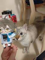 https://images.plurk.com/Ah1V0LKqpKsEw2VaiGCtA.jpg