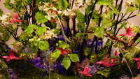 https://images.plurk.com/AoGOq0ktvxnQZBMLWxdgV.jpg