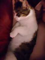 https://images.plurk.com/B16e4IpHchylQ4VdV57cS.jpg