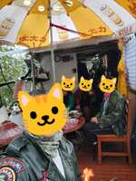 https://images.plurk.com/B8Tul6OP8Hu2tzkPBGodp.jpg