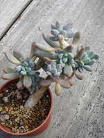 https://images.plurk.com/BD4CKOFeTlEIOQOCZcosO.jpg