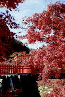 https://images.plurk.com/BZfEJq33XcV7r0fxcPck6.jpg