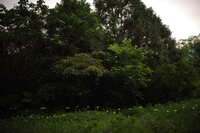 https://images.plurk.com/BZvpDm3kWdS7NFylx83hZ.jpg