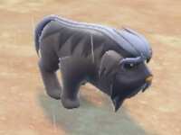 https://images.plurk.com/Bb3E1sLz0TE7ZtgzVRnA2.jpg