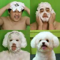 https://images.plurk.com/Bccg5LggxDGKpXyGy9TEg.jpg