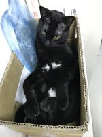 https://images.plurk.com/BebQaIbRhjEcmn0t0pZ6I.jpg