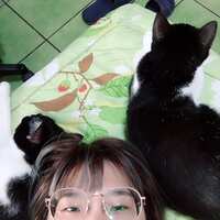 https://images.plurk.com/BiUSjpffyxxpHU7FCN94O.jpg