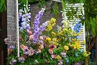 https://images.plurk.com/BnYiTiLNpt1QbRiQudc8J.jpg