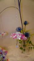 https://images.plurk.com/BoITDnFGWGoGXmPXDWhG1.jpg