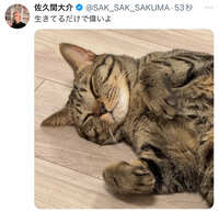 https://images.plurk.com/Bt6gWRaoAG2j5GOqtT2Bx.jpg