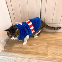 https://images.plurk.com/C54CQsSf94SXdBBWIjws5.jpg