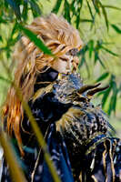 https://images.plurk.com/C6bdcO815FqdxNgkgC7NZ.jpg