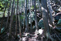 https://images.plurk.com/C9C6tBP0D7s9h3sNXqbwr.jpg