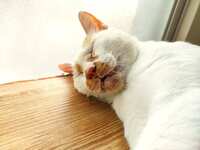 https://images.plurk.com/CM04MJJG8esZUqPLbJxzL.jpg