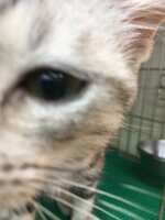 https://images.plurk.com/CbVnhU4BAwheeBauJv6bf.jpg