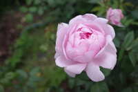 https://images.plurk.com/CbrfxRbDRaCdEwLsBmCwF.jpg