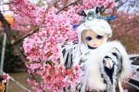 https://images.plurk.com/CfgdtbYUdtedL5yRTmRII.jpg