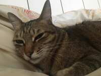 https://images.plurk.com/CyTm9BxPGGlVFNYRrJ77e.jpg