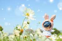 https://images.plurk.com/D2v0aqPMvyHWBwH4RuBjt.jpg