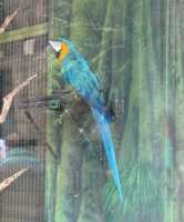 https://images.plurk.com/D8ICmMh3du1P8kqR7Cjvm.jpg