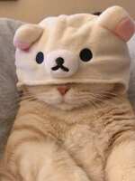 https://images.plurk.com/D8WCTxOGQZQWKxQkrrsXR.jpg