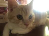 https://images.plurk.com/DS8PYzZm47xarpTYtJ8Mj.jpg