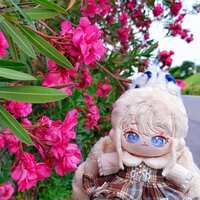 https://images.plurk.com/DXZ0wLyckVuCloaQE5Ct3.jpg