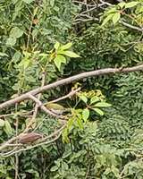 https://images.plurk.com/DXsOb3QTw4DT4442RLtlg.jpg