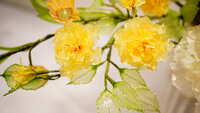 https://images.plurk.com/DZkdKFwa9Cxv3TU64TShW.jpg