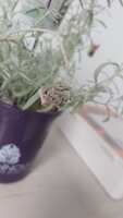 https://images.plurk.com/DZy3hRMBkiugVaM9XuswR.jpg