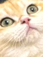 https://images.plurk.com/DcvdPTnCl7lQAMvMbduMQ.jpg