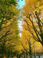 https://images.plurk.com/Dhyjhr1aH1iRR79UVrIow.jpg