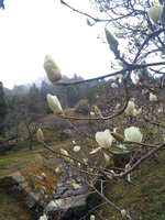 https://images.plurk.com/DuTa71UGFHNIsEoyLe206.jpg