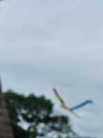 https://images.plurk.com/E1fltZqcTcl8xl5OIXeIg.jpg