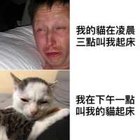 https://images.plurk.com/E5BZwuTlia8bJ1y2kLKwi.jpg