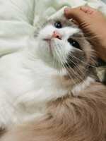 https://images.plurk.com/E5tGCKhF3c6izxhlkMjqL.jpg