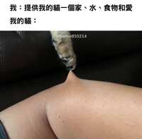 https://images.plurk.com/E653rS2zwYweKYX7w2Jph.jpg