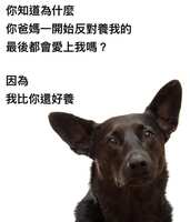 https://images.plurk.com/E75hvsGOB7atYAVRWzKyP.jpg