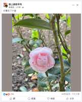 https://images.plurk.com/E9KUFMi0KjdCdy45UzXPM.png