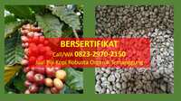 https://images.plurk.com/EETwj0wrGG4pgSAKo6BJz.jpg