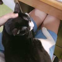 https://images.plurk.com/EO4Q96uPOspL8ahcwPfV4.jpg