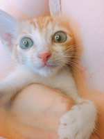 https://images.plurk.com/EWayiDvBkknfxhyoeA0Un.jpg