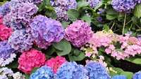 https://images.plurk.com/Eh4SUrrQ7u8RCdBz64WE.jpg