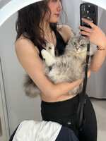 https://images.plurk.com/Eub0F0fQWXg1J8K6JUpf8.jpg