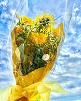 https://images.plurk.com/EwhbTQM2UOAuPn6cj9clN.png