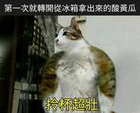 https://images.plurk.com/F3NWMHmvohInSiFgu4XDF.png
