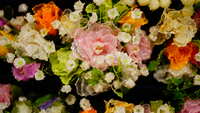 https://images.plurk.com/FClHzYPIXXXl8plhlO8K9.jpg