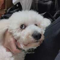 https://images.plurk.com/FJLOxWldJ0Fwrr8jfwHKX.jpg