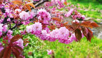 https://images.plurk.com/FLWj9wb7wzma0lKR77tiY.jpg